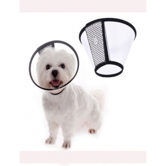 E Collar / Medical Collar For Dogs