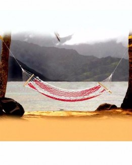 Hammock Swing - Red & White