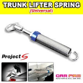 Automatic Car Trunk lifter-pack of 2